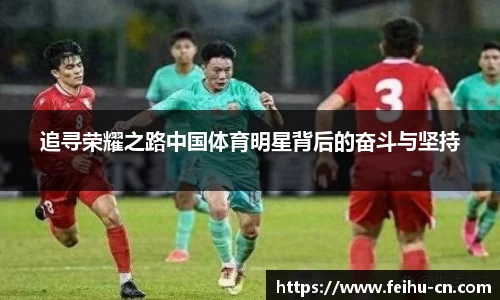 追寻荣耀之路中国体育明星背后的奋斗与坚持