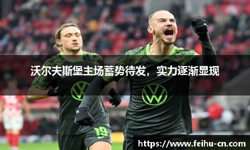 沃尔夫斯堡主场蓄势待发，实力逐渐显现