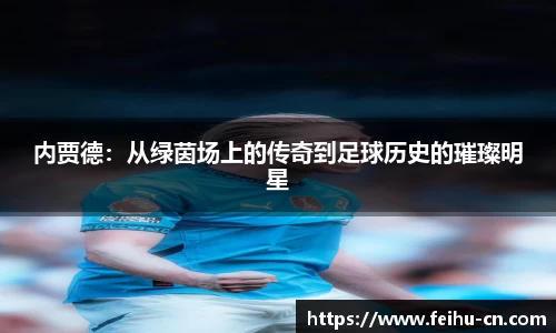 内贾德：从绿茵场上的传奇到足球历史的璀璨明星